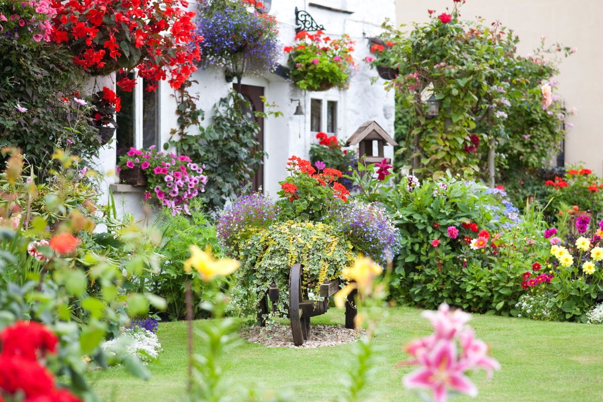 Comment faire un jardin anglais image