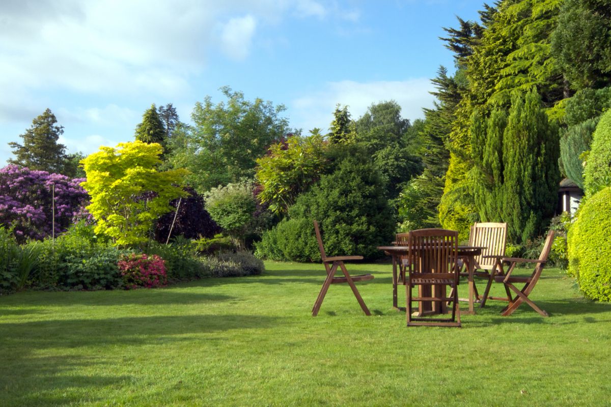 Exemple jardin anglais